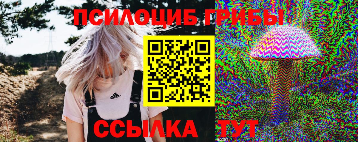 Галлюциногенные грибы ЛСД Алушта