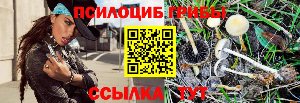 Псилоцибиновые грибы Psilocybine cubensis  Вход с VPN  Алушта 